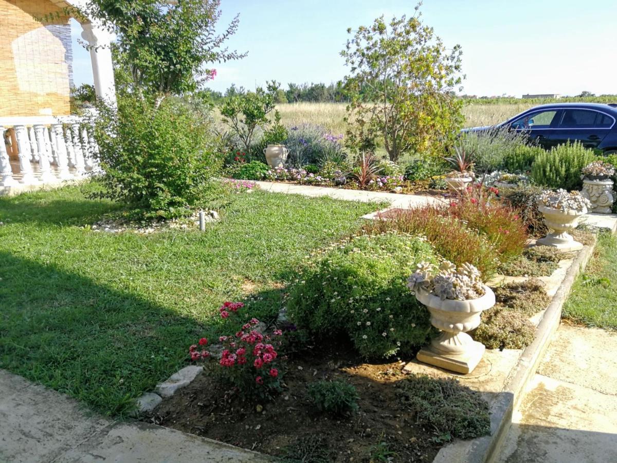 Villa Flora Maris Apartments Привлака Екстериор снимка